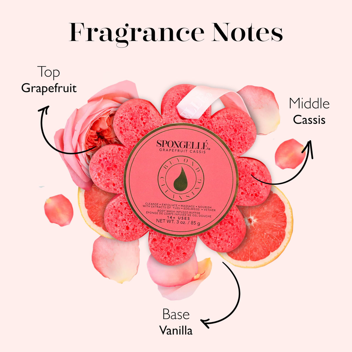 SPONGELLÉ Grapefruit Cassis Bath Sponge with body wash visible