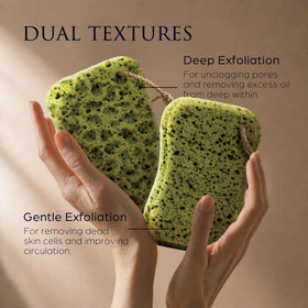 Spongentle Loofah Sponge showing dual texture design for exfoliation