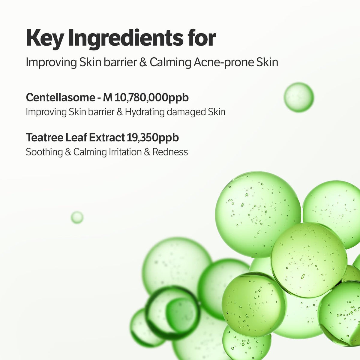 SUNGBOON EDITOR Deep Collagen CICA Tea Tree Overnight Mask ingredients list