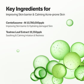 SUNGBOON EDITOR Deep Collagen CICA Tea Tree Overnight Mask ingredients list