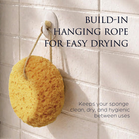 Sunlite Sports Spongentle Loofah Sponge displayed with bath accessories