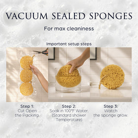 Sunlite Sports Spongentle Loofah Sponge in natural colours