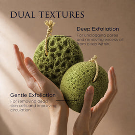 Sunlite Sports Spongentle Loofah Sponge textured side for exfoliation