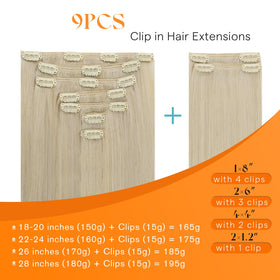 Sunny Hair Clip-In Extensions 24 Inch packaging