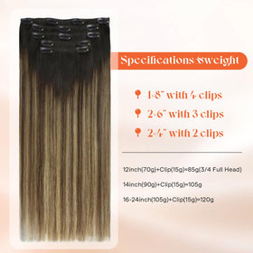 Sunny Hair Clip-in Hair Extensions 12inch caramel balayage packaging