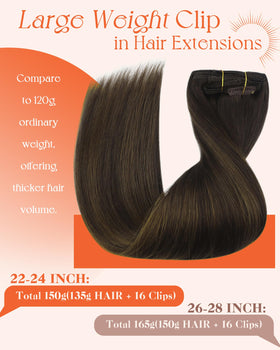Sunny Hair Clip-in Hair Extensions Balayage packaging