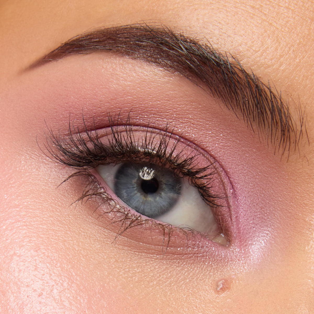 Swatches of ColourPop Pink Dreams Eyeshadow Palette on skin