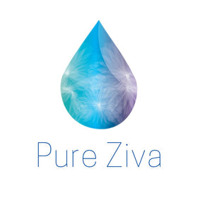 Swatches of Pure Ziva Matte Purple Vegan Eyeshadow shades