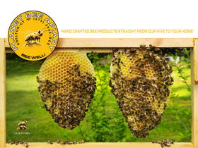 Tattoo Bee balm applied on skin for tattoo care