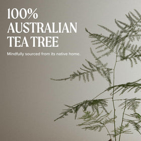 Tea Tree Hair and Body Moisturizer 10.14 fl. oz. packaging