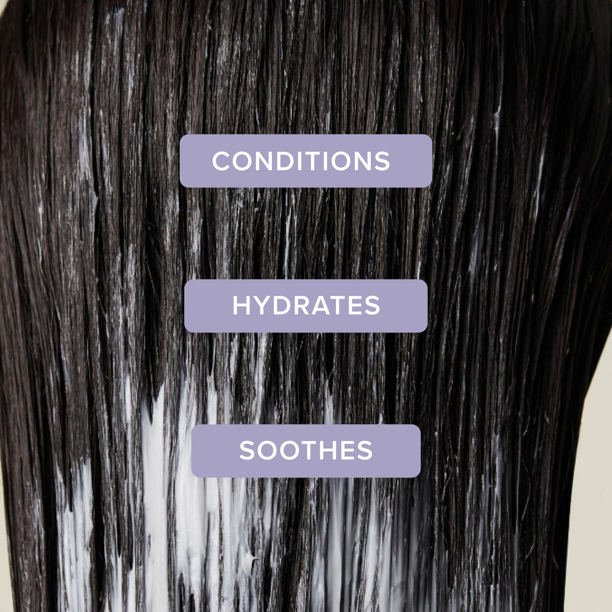 Tea Tree Lavender Mint Moisturizing Conditioner back view with ingredients