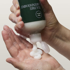 Tea Tree Lavender Mint Moisturizing Conditioner with lavender and mint leaves