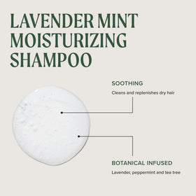 Tea Tree Lavender Mint Shampoo with a calming lavender background