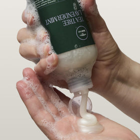 Tea Tree Lavender Mint Shampoo with lavender and mint leaves