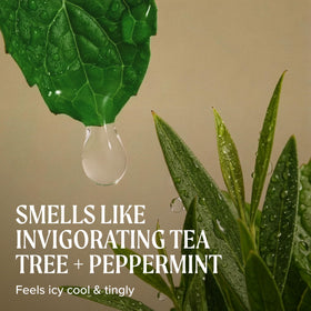 Tea Tree Special Conditioner on a vanity
