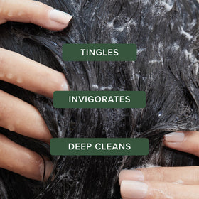 Tea Tree Special Shampoo 33.8 fl oz back view showing ingredients