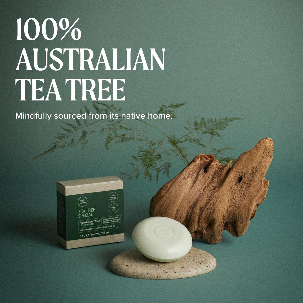 Tea Tree Special Shampoo Bar displayed with fresh tea tree leaves