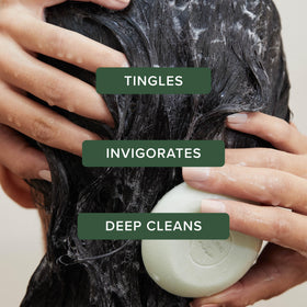 Tea Tree Special Shampoo Bar with packaging, eco-friendly design
