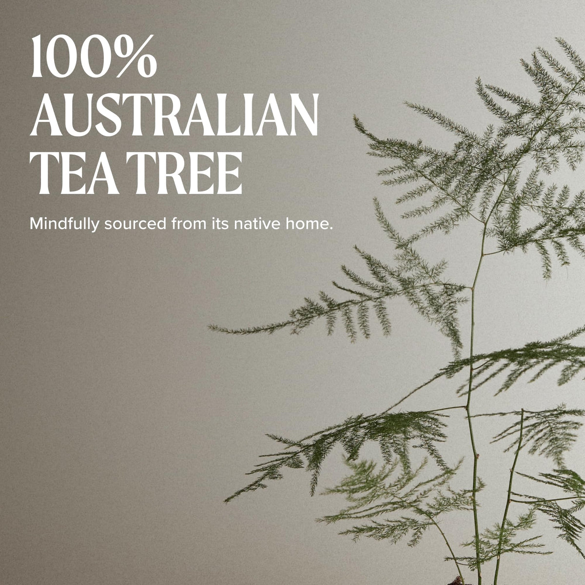 Tea Tree Styling Gel lifestyle scene