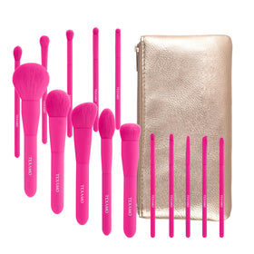 TEXAMO makeup brush set with a variety of brush types