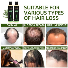 Tgideas Rosemary Biotin Shampoo application scene