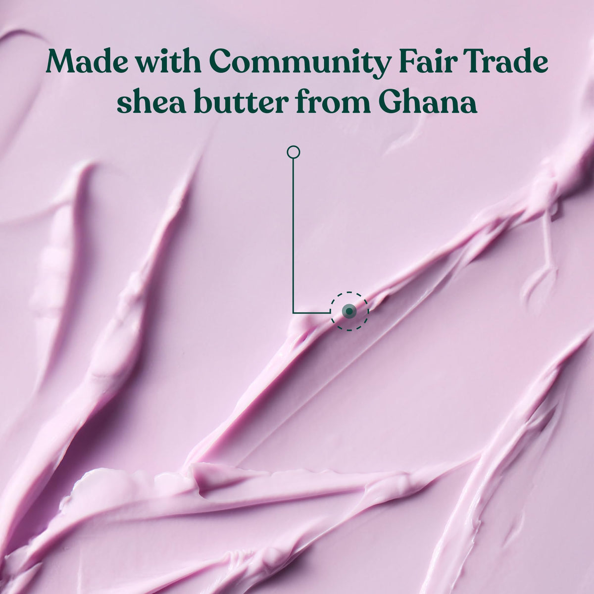 The Body Shop Dewberry Body Butter 249g packaging