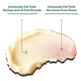 The Body Shop Moringa Body Butter 240g with ingredients on display