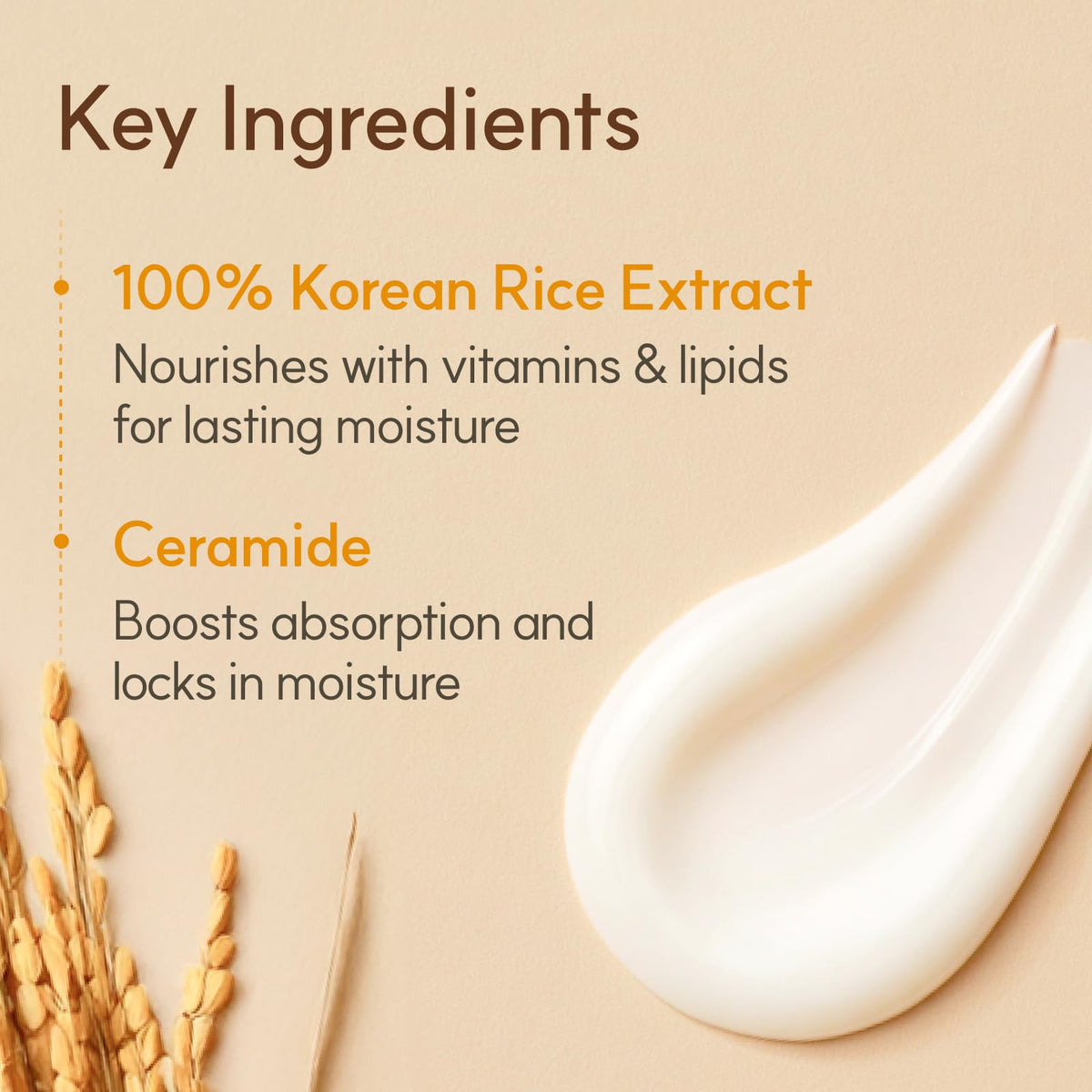 The Face Shop Rice Ceramide Cream with rice grains