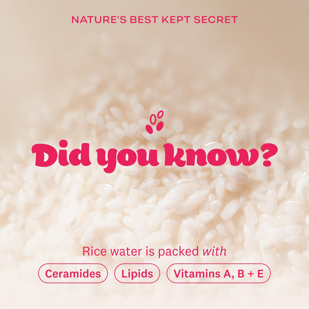 The Face Shop Rice Water Bright Cleansing Duo Set ingredients list close-up