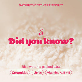 The Face Shop Rice Water Bright Cleansing Wipes with rice grains background