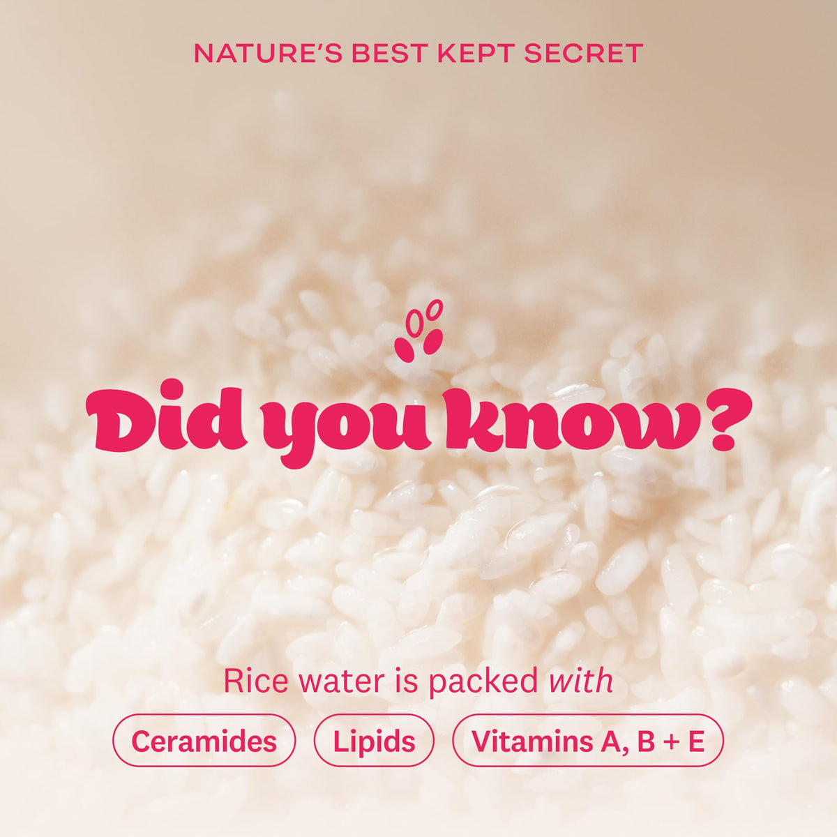 The Face Shop Rice Water Bright Foaming Cleanser in lifestyle setting with flowers