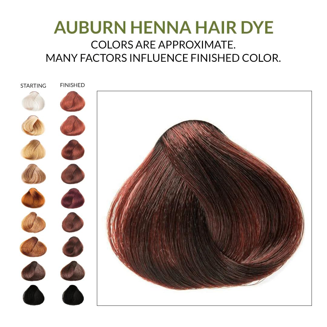 The Henna Guys Auburn Henna Hair Dye 100g back view