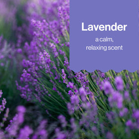 The Honest Company Bubble Bath Lavender Calm with calming bath accessories