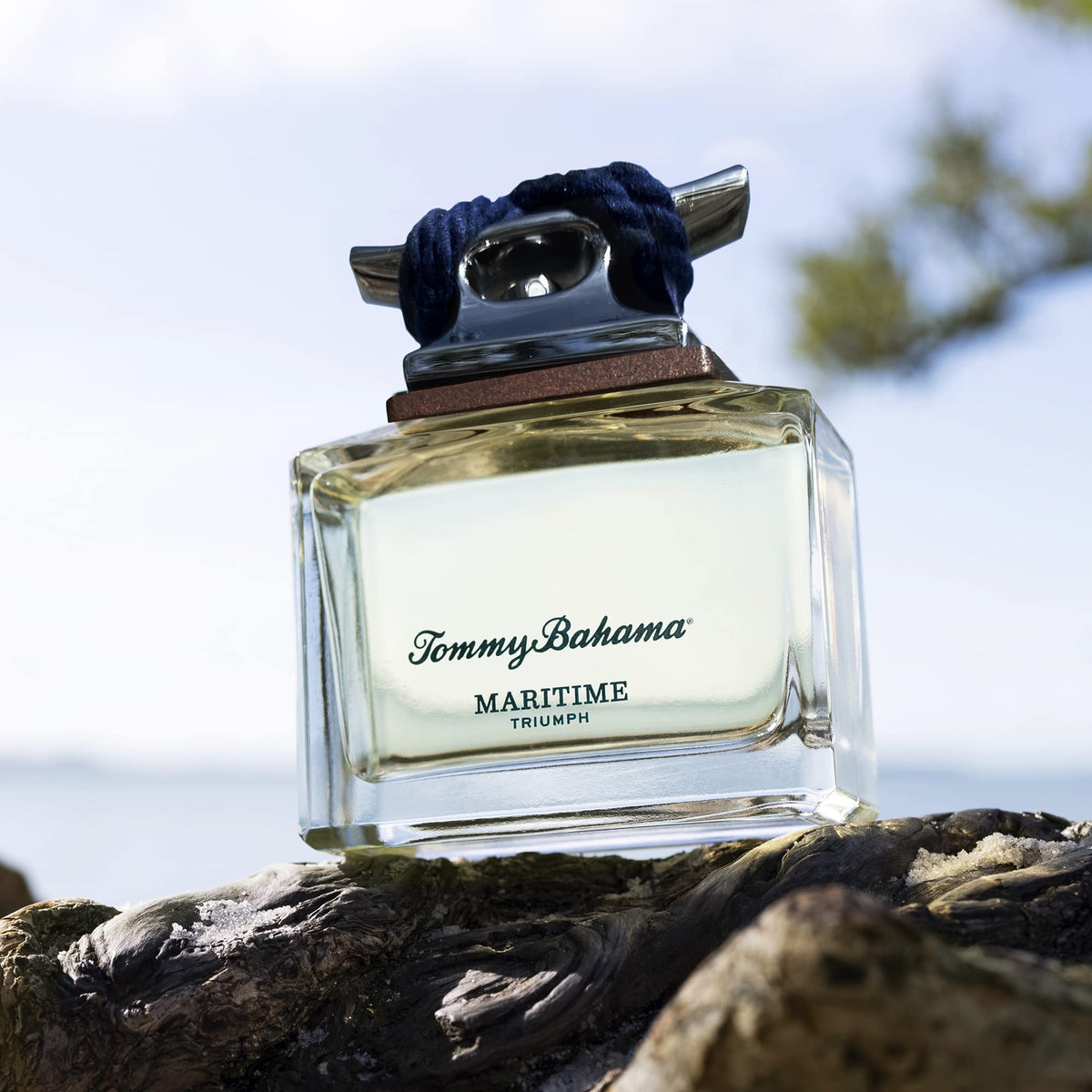 Tommy Bahama Maritime Triumph Spray Cologne label close-up