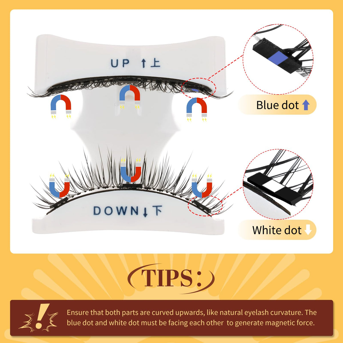 Two pairs of QUEWEL magnetic eyelashes displayed
