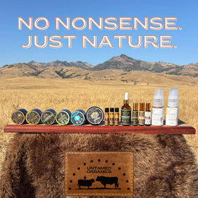 Untamed Organics lip balm with natural ingredients displayed