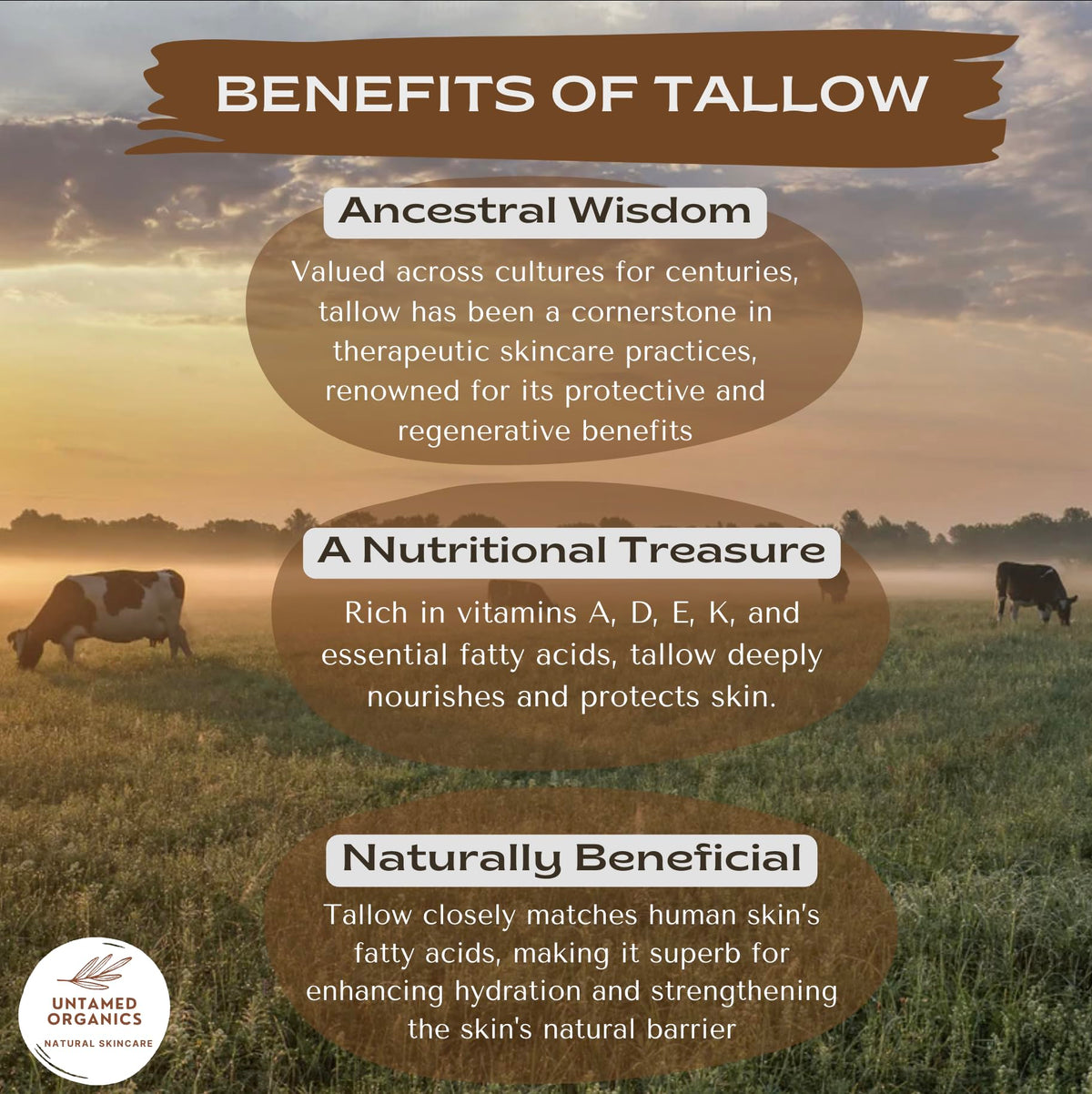 Untamed Organics Pure Tallow Lip Balm held in hand
