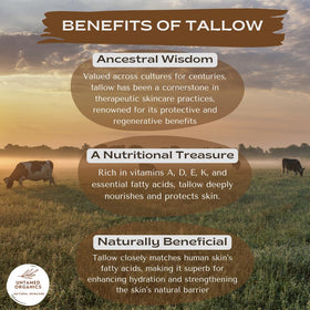 Untamed Organics Pure Tallow Lip Balm packaging details