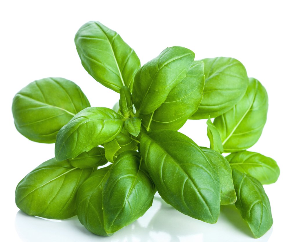 US Organic Basil Essential Oil bottle with herbs