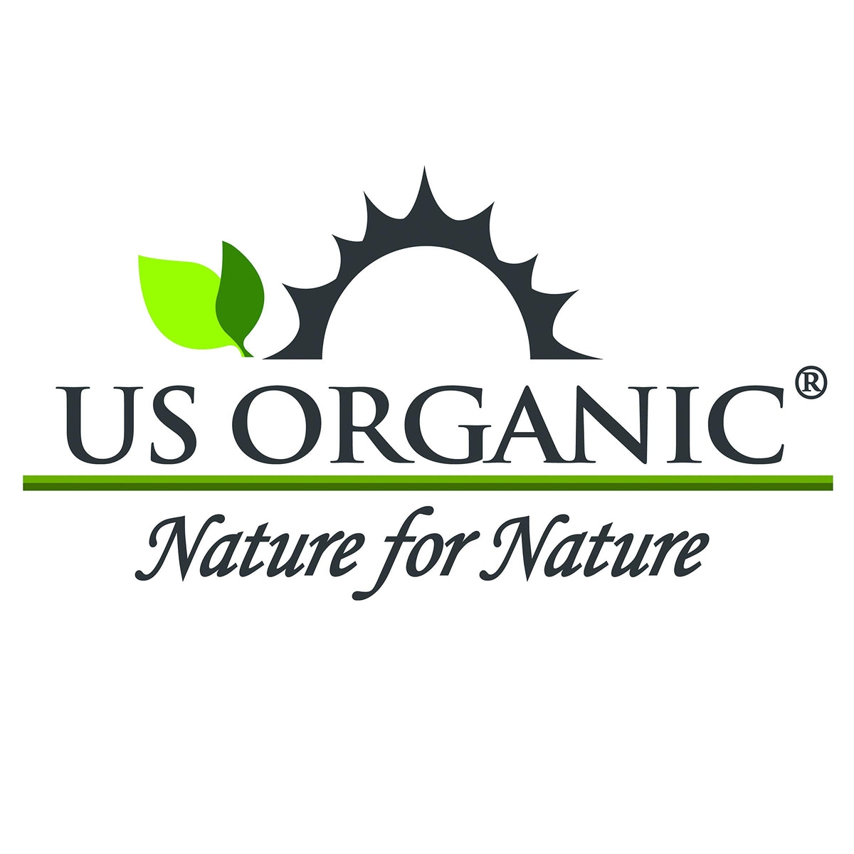 US Organic Beard Oil product details and usage instructions