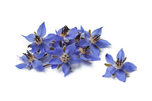 US Organic Borage Seed Oil label close-up