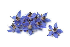 US Organic Borage Seed Oil label close-up