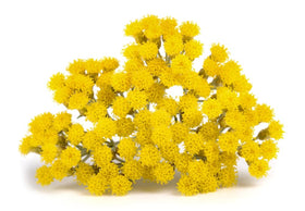 US Organic Helichrysum Essential Oil with dropper close-up