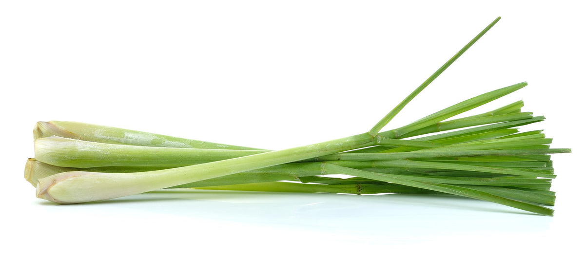 US Organic Lemongrass Essential Oil in a natural setting
