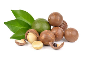US Organic Macadamia Nut Oil 4 oz bottle back view