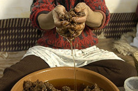 US Organic Moroccan Argan Oil applied to nails and cuticles
