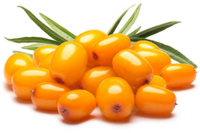 US Organic Sea Buckthorn Berry Oil on a wooden surface