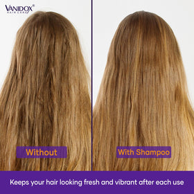 VANIDOX Purple Conditioner applied to hair
