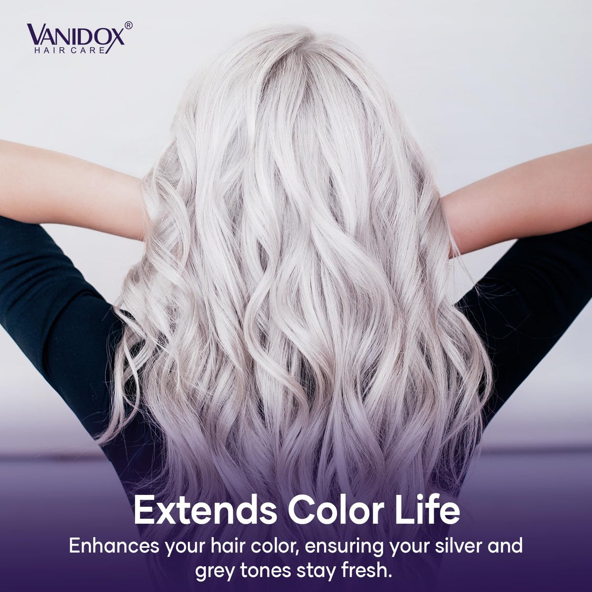 VANIDOX Purple Shampoo and Conditioner Set with ingredients