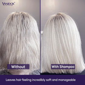 VANIDOX Purple Shampoo application on hair